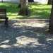 ad esempio le foglie degli alberi cadute non sono quasi mai spazzate 